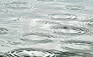 Raindrops falling into pond making ripples