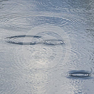 raindrops form rings in a puddle