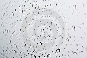 Raindrops on Grey Window Contrast Black White Detail Abstract Na