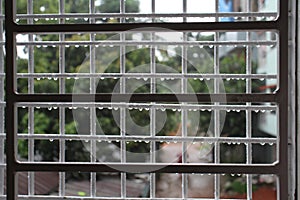 The raindrops are on the grid of a window.