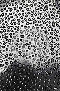 Raindrops I