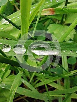 Raindrops keep falling