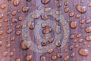 Raindrops on the metal profile sheet. Brown profiled metal sheet with dew drops