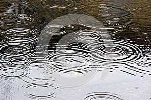 Raindrops on puddle