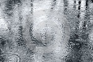 Raindrops on puddle with trees reflection