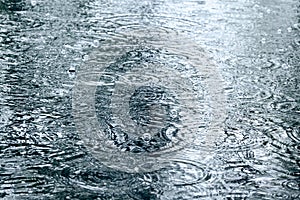 Raindrops ripples on a water surface