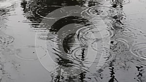 Raindrops rippling on a dark surface in a rainy day