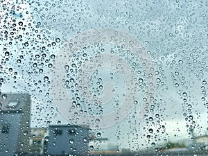 Raindrops on a window