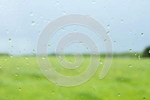 Raindrops on a window