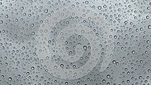 Raindrops on a window