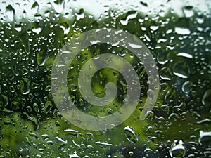 Raindrops at the window on the green background of trees