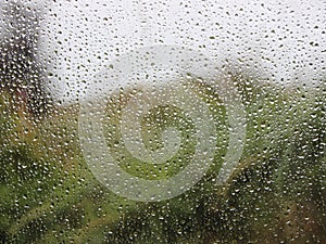 Raindrops on Window with Green Garden Background