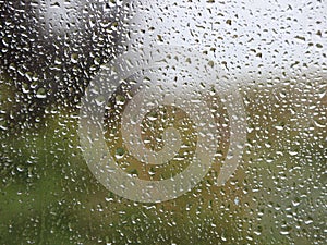 Raindrops on Window with Green Garden Background