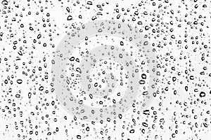 Raindrops on a Window After Heavy Rain in Black and White