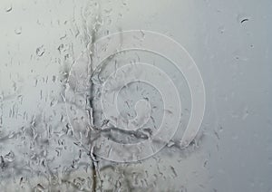 Raindrops on Window with a Tree Outside in the Background