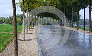 Rained wet path in park surrounded by grass