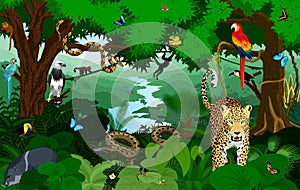 Rainforest with animals vector illustration. Vector Green Tropical Forest jungle with parrots, jaguar, boa, harpy, monkey