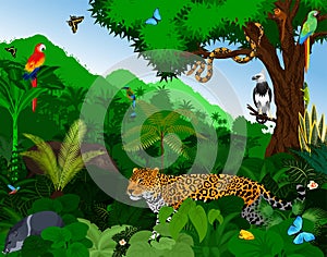 Rainforest with animals vector illustration. Vector Green Tropical Forest jungle with parrots, jaguar, tapir, harpy, monk