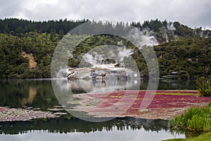 Impressive New Zealand landscape