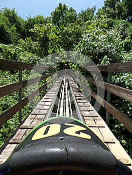 Rainforest Bobsled at Mystic Mountain Jamaica