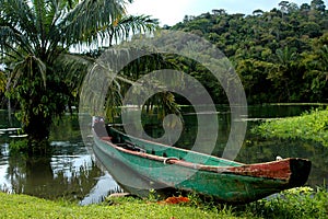 Rainforest canoe