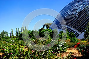 Rainforest Conservatory