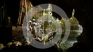 Rainforest Enclosure at Zoo