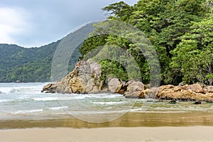 Rainforest encounter with all its exuberance with the sea photo