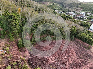 Rainforest jungle destroyed to make way for oil palm and rubber tree plantations