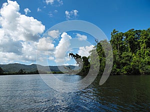 rainforest Kuranda river crocodile Australia Cairns Tropical North Queensland