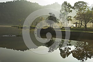 Rainforest lake reflection