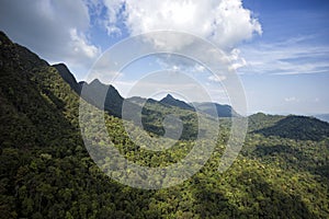 Rainforest Machincang mountain of Langkawi Island, Malaysia