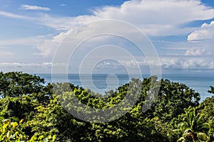 Rainforest Manuel Antonio