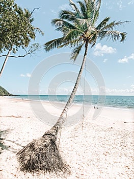 Rainforest meets the beach