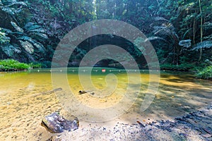 Rainforest natural pool and waterfall