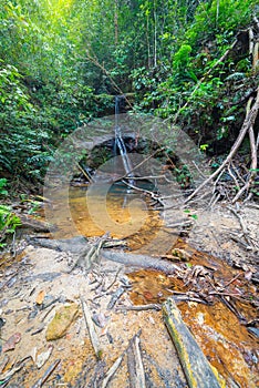 Rainforest natural pool and waterfall