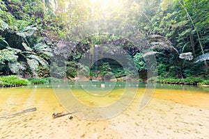 Rainforest natural pool and waterfall