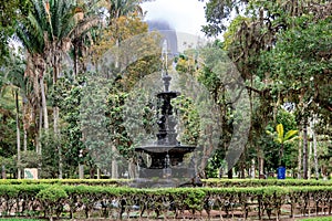 Rainforest and pond with fountain in Botanical Garden of Rio de Janeiro