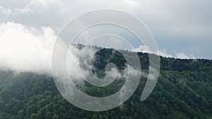 Rainforest. Rain forest jungle and clouds aerial footage