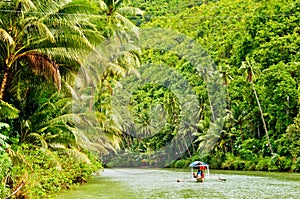 Rainforest River Cruise