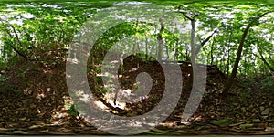 Rainforest in the Sri Lanka. 360VR Video.