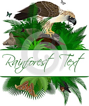 Rainforest Summer Tropical Leaves Wildlife Vector Design with giant atlas moth, bearded pig and philippine eagle with monkey