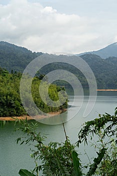 Rainforest tropical trees near the green lake in Kuala Kubu Bharu, Malaysia