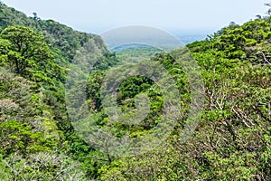 Rainforest in a valley on the side of RincÃƒÂ³n de la Vieja Volcano, Guanacaste Province, Costa Rica, Costa Rica