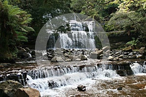 Rainforest Waterfall