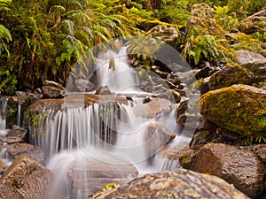 Rainforest waterfall