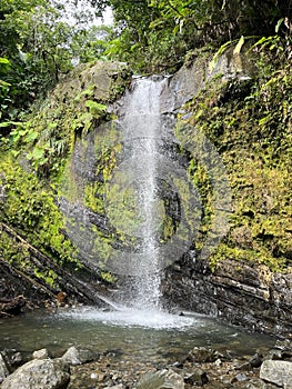 Rainforest Waterfall