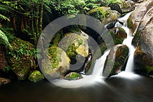 Rainforest Waterfall