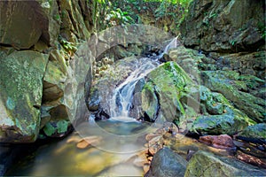 Rainforest waterfall