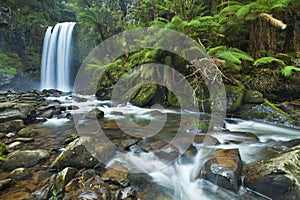 Rainforest waterfalls, Hopetoun Falls, Great Otway NP, Victoria,